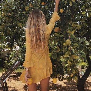 BNWOT Realisation Par Mary Jane Sunflower Dress xs